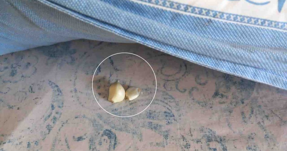 Česnečka pod polštářem, proto ji naše babičky vždy dělaly