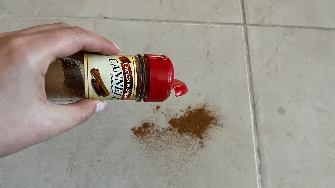 Hodit špetku skořice na zem, trik, který funguje už desetiletí.
