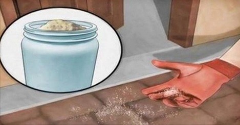 Jak používat sůl k odstranění hmyzu navždy