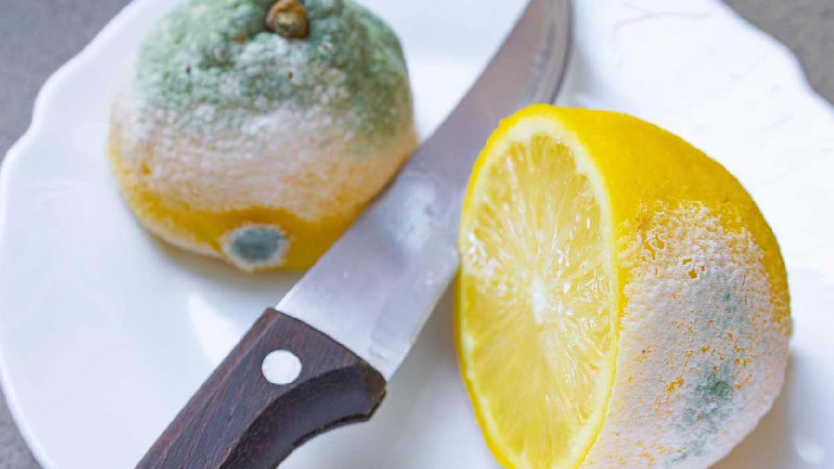 Naučte se správně uspořádat citrony, aby nehnily: tady je neomylná technika