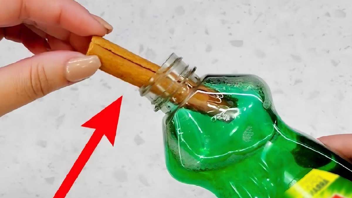 Nezapomeňte vložit skořicovou tyčinku do mycího prostředku na nádobí
