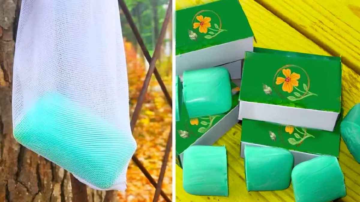 Nikdy nezapomeňte pověsit kolem svých rostlin kousky voňavého mýdla