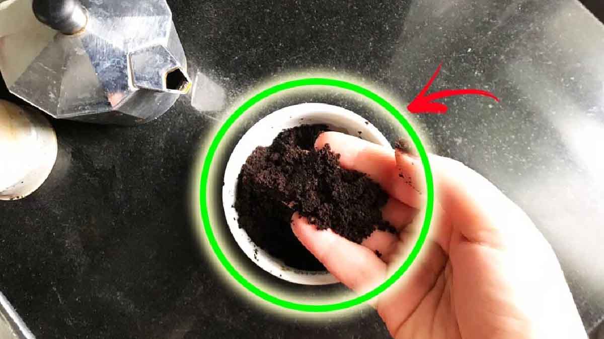 Pár tipů pro využití zbytků kávy, které musíte určitě znát