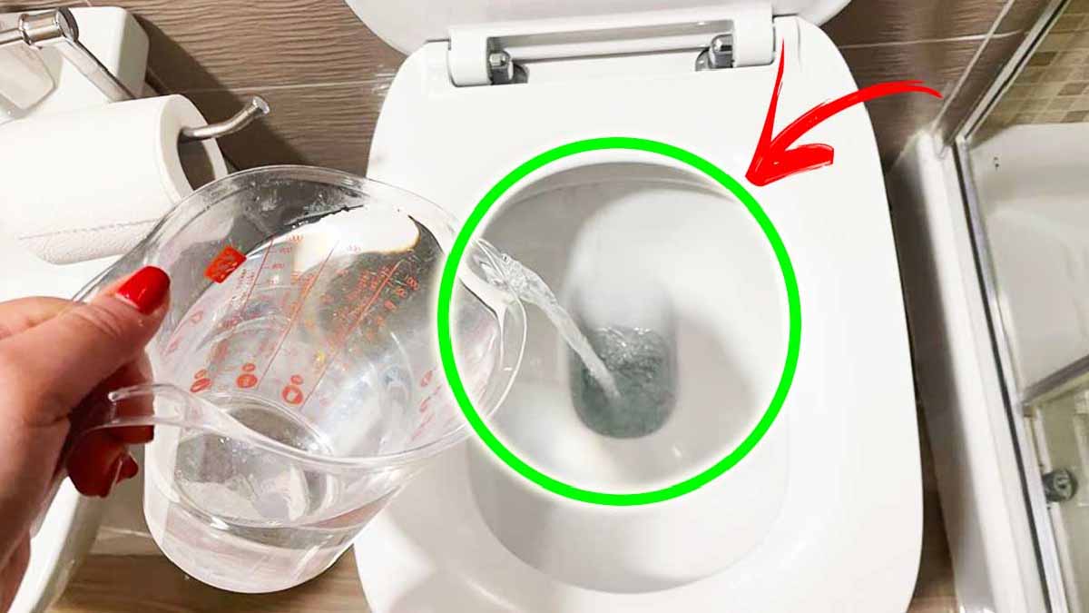 Přejte se sbohem zápachu z potrubí na toaletách: tento trik vás nenechá bez hlasu