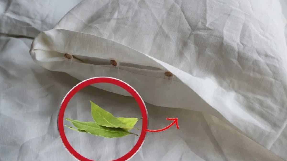 Proto byste nikdy neměli zapomenout vložit pod polštář dvě bobkové listy.