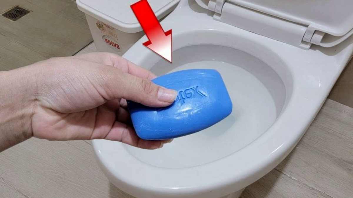 Savon ve záchodě, proč byste ho měli vyzkoušet: řeší více problémů