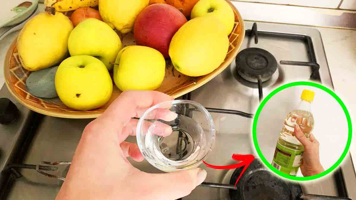 Sbohemný létající mouchy nám už nepřinesou : chráníte své jídlo nejlépe, jak jen můžete.