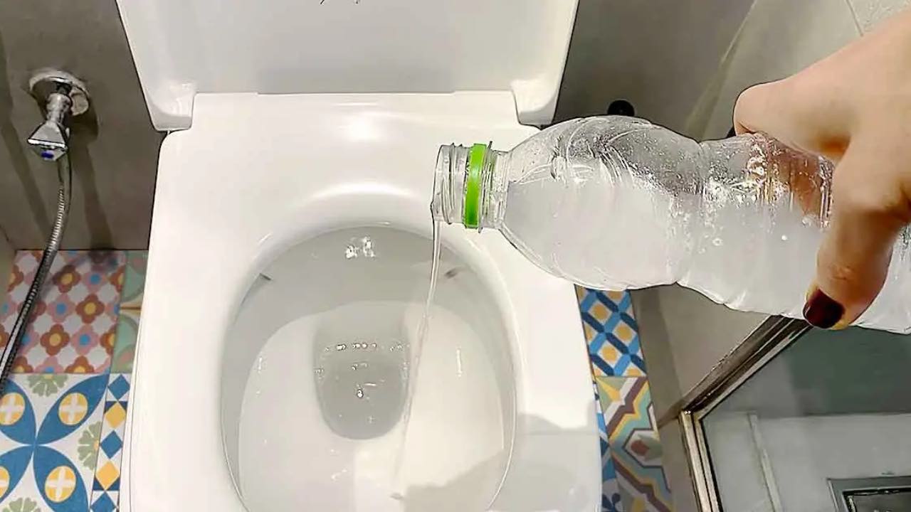 Triky, jak udržet váš koupelny vždy voní čerstvě a hygienicky po dobu 4 týdnů