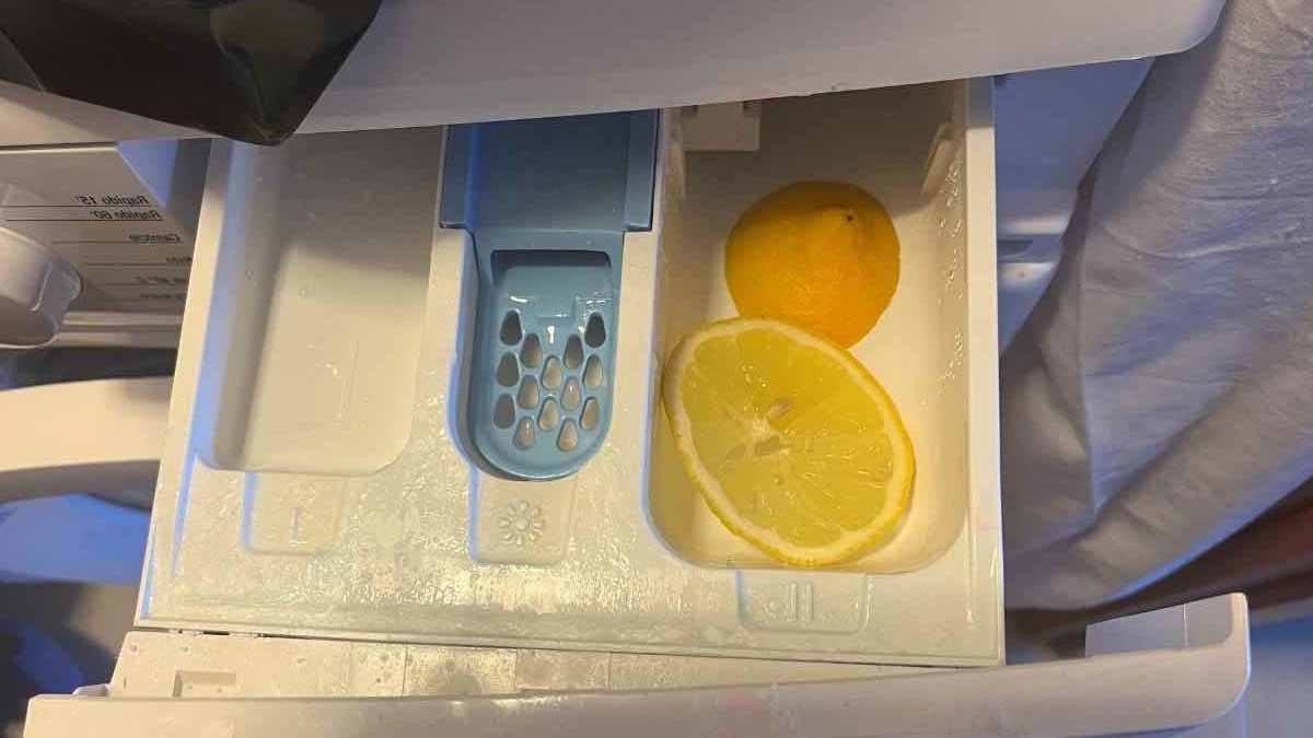 Udělejte jako všechny hospodyňky a vyřízněte 2 plátky citronu do koše pračky.