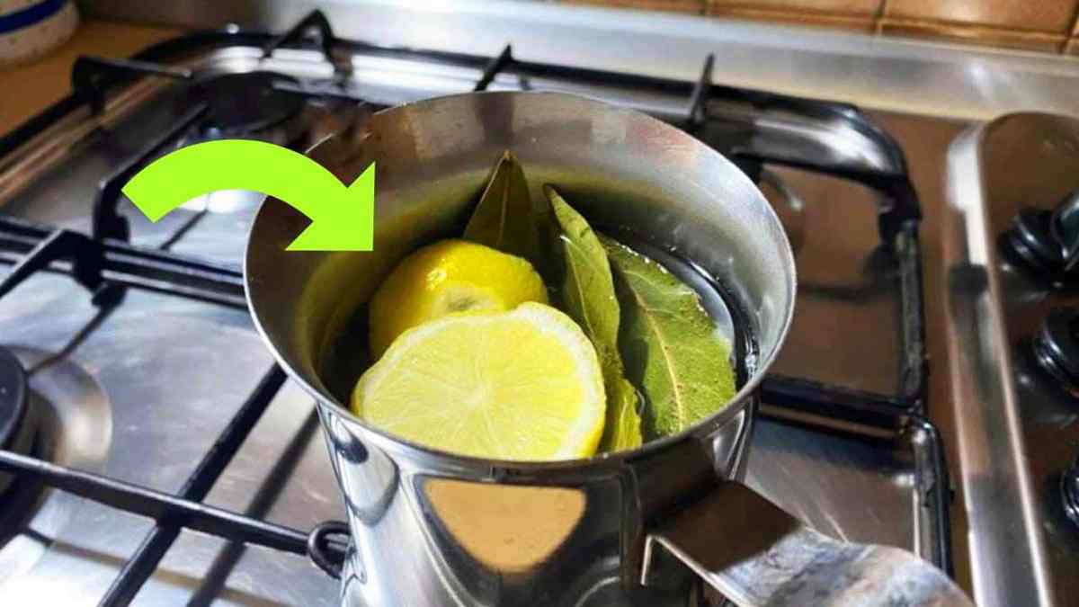 Varni citron a bobkové listy, a nebudete schopen si představit všechny výhody.