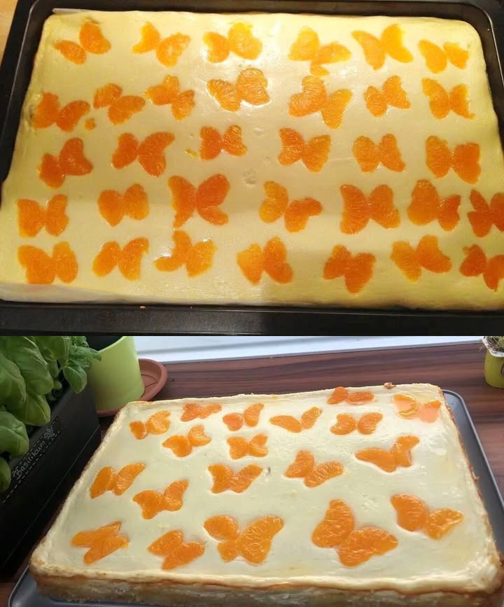 Bleskový tvarohový koláč s mandarinkami z plechu za 5 minut