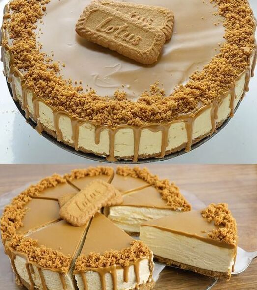 Bleskový nepečený tvarohový koláč — už ho dělám jen TAK