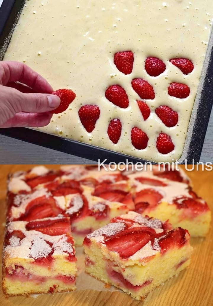 Nejlepší jahodový dort všech dob – jahodový piškotový dort