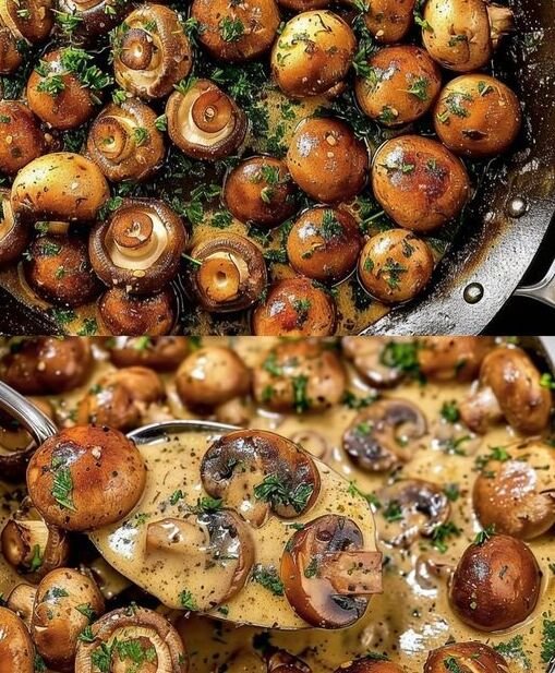 Česnekové žampiony v lahodné smetanové omáčce za 20 minut