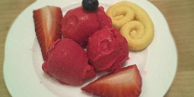 Nízkosacharidová ostružinová zmrzlina z Thermomixu