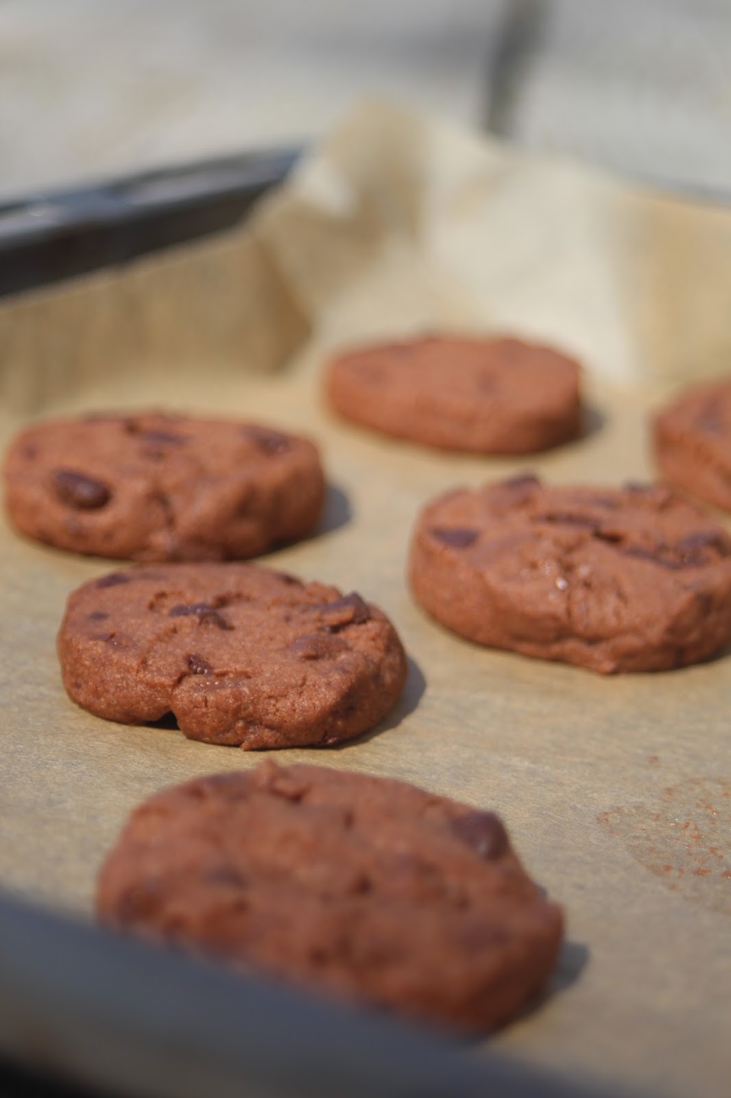 Jumbo Chocolate Cookies