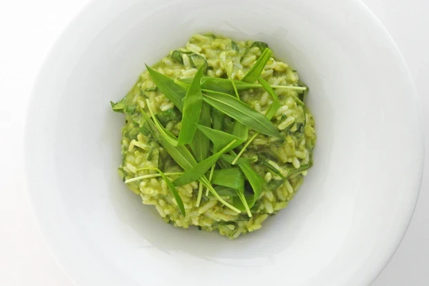 Bärlauchrisotto