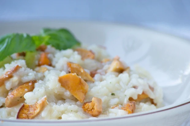 Eierschwammerl risotto