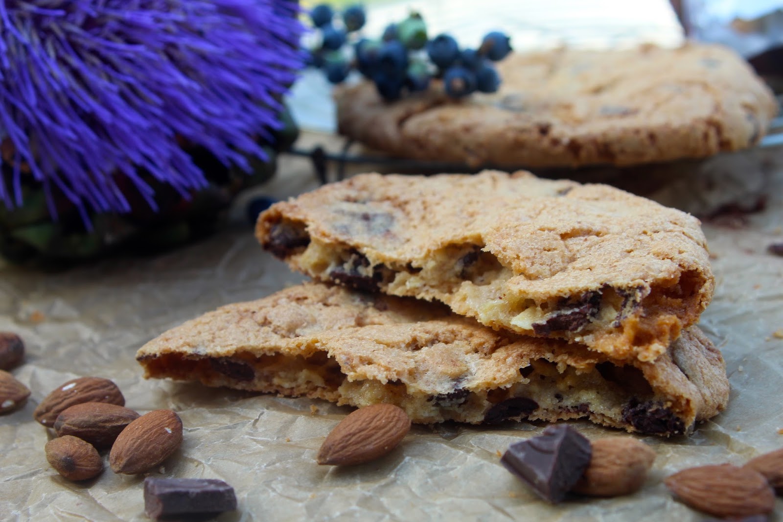 Křupavé čokoládové sušenky