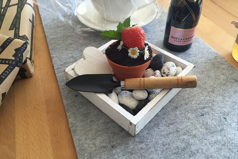 Zemina na květiny s tvarohem