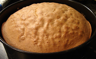 Vídeňský dortový korpus