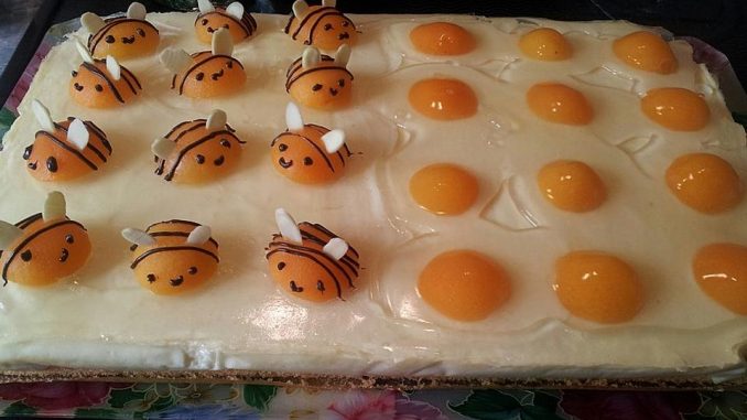 Zrcadlový koláč z plechu