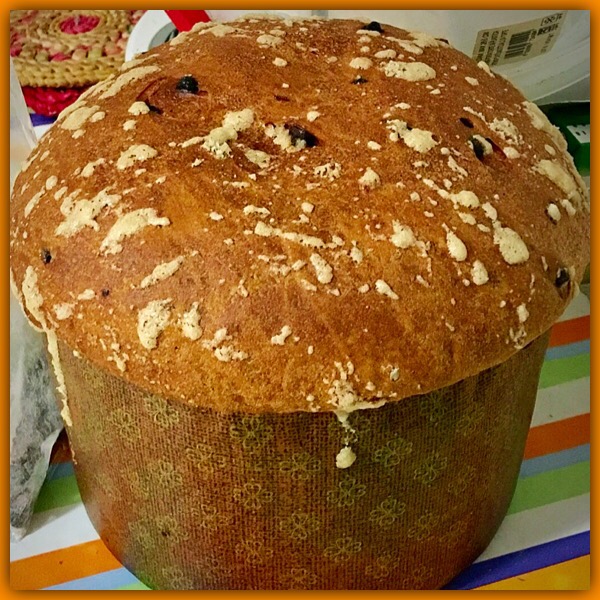 Panettone selber machen