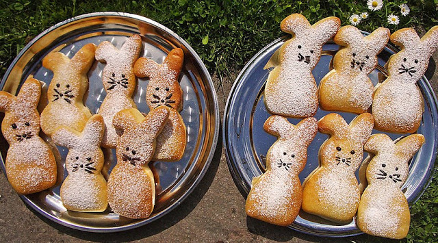 Zvědaví tvarohoví zajíčci