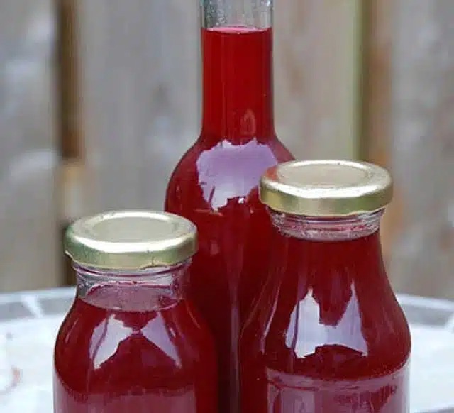 Recept na ocet z černého rybízu