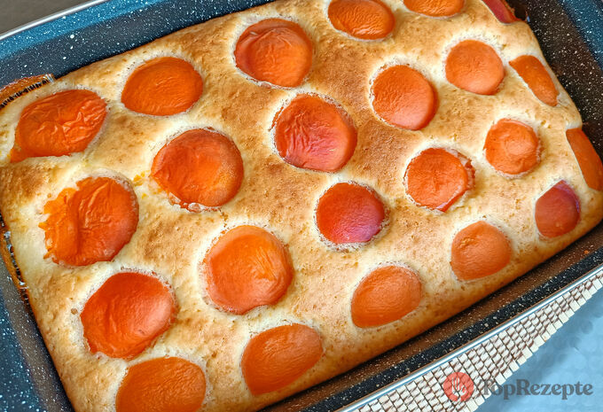 Meruňkový koláč podle babiččina receptu, který se bleskově ujídá z plechu