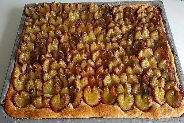 Kynutý švestkový koláč